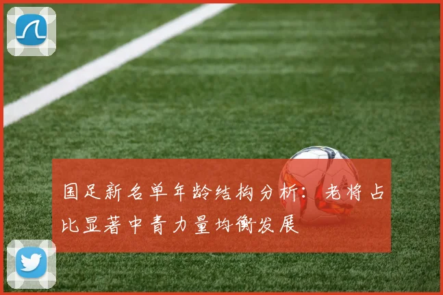 国足新名单年龄结构分析：老将占比显著中青力量均衡发展