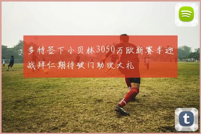 多特签下小贝林3050万欧新赛季迎战拜仁期待破门助攻大礼