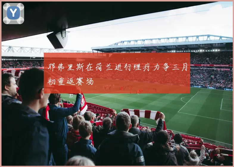 邓弗里斯在荷兰进行理疗力争三月初重返赛场