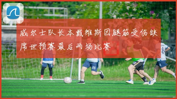 威尔士队长本戴维斯因腿筋受伤缺席世预赛最后两场比赛