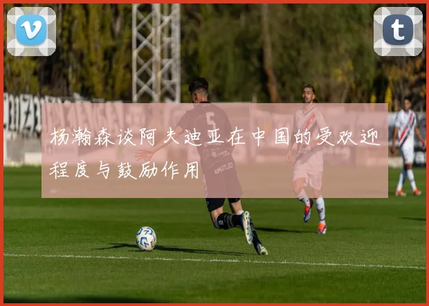 杨瀚森谈阿夫迪亚在中国的受欢迎程度与鼓励作用