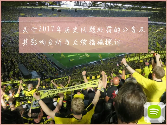关于2017年历史问题处罚的公告及其影响分析与后续措施探讨