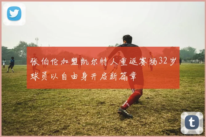 张伯伦加盟凯尔特人重返赛场32岁球员以自由身开启新篇章