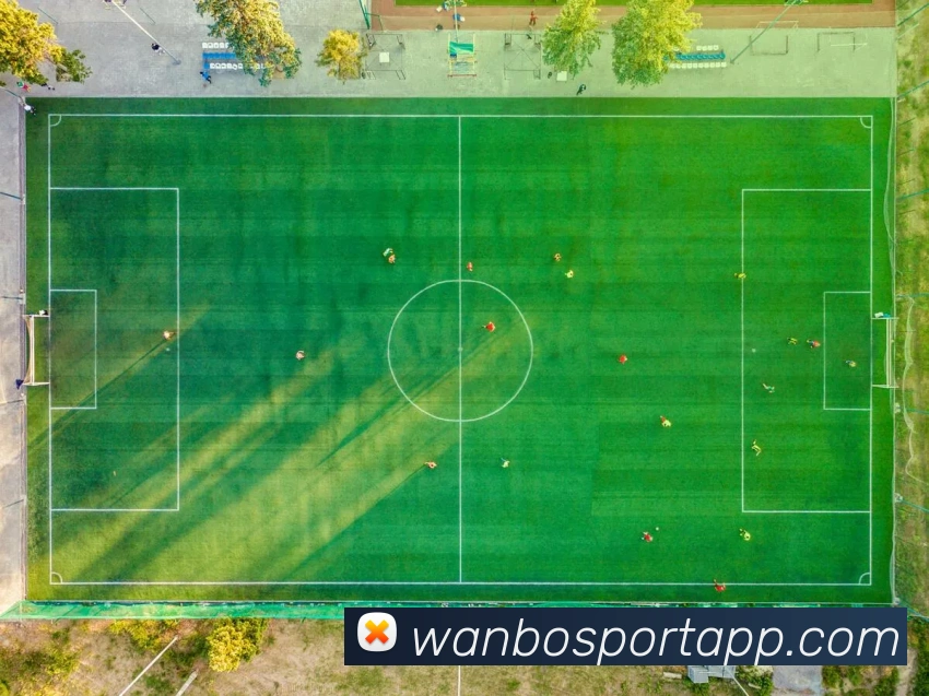 万博体育平台生态图